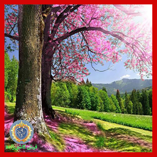 شکوفه‌های اجابت